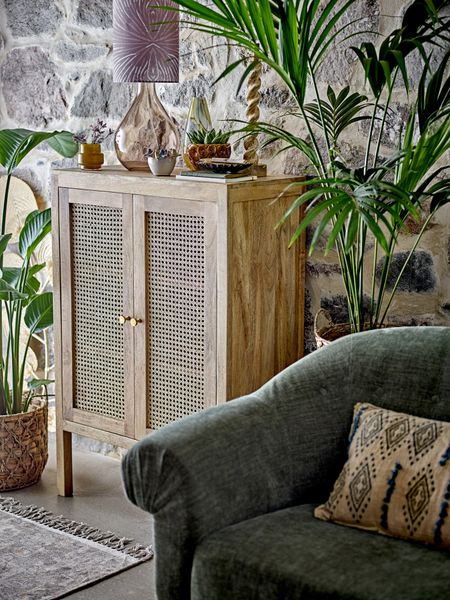 Jose Telysholder gul