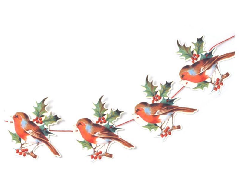 Girlander Robin