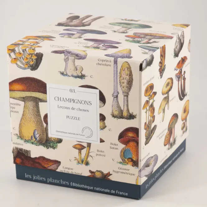 Hovedbilde Mushrooms puslespill 1000 biter