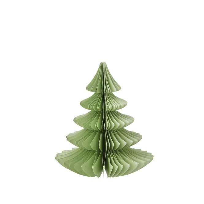 Hovedbilde Papirtre Pine Ming 16cm