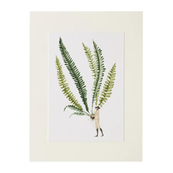 Laura Stoddart A4 Print - Fern 1
