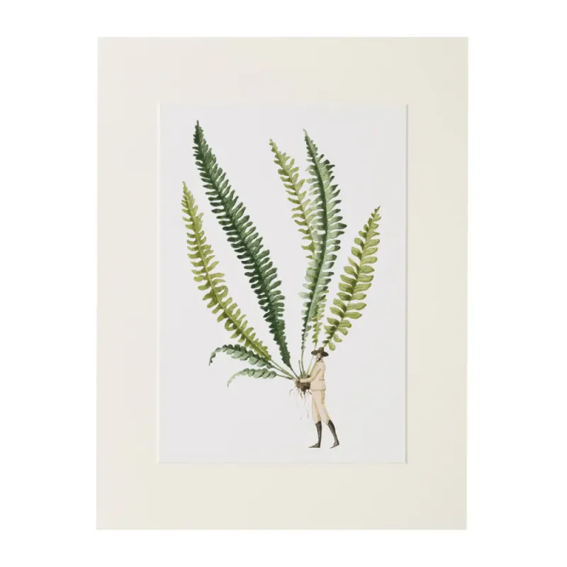 Laura Stoddart A4 Print - Fern 1