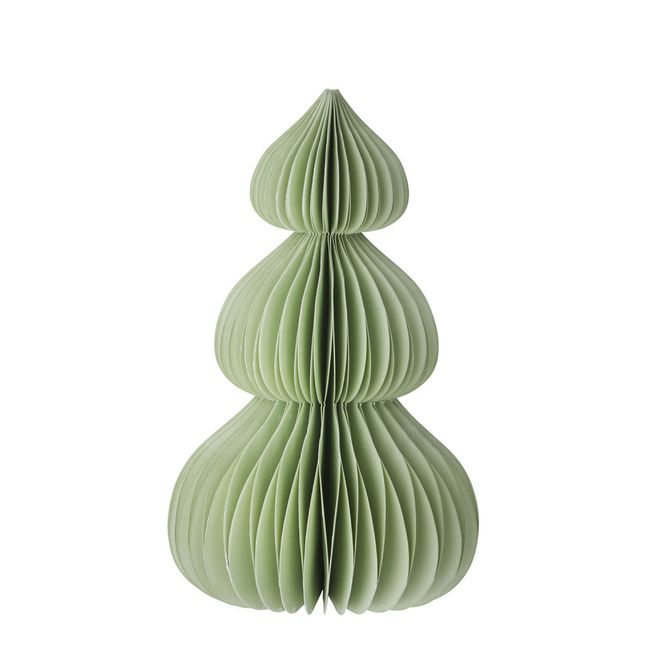 Hovedbilde Papirtre Moonpine Ming green 20cm 