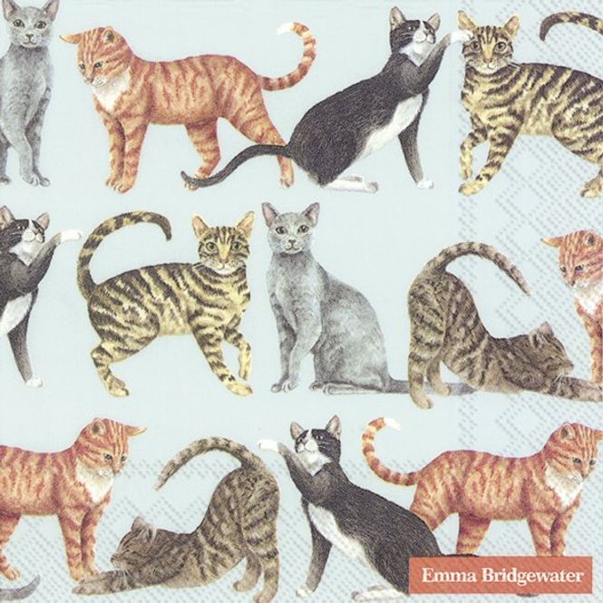 Hovedbilde Emma Bridgewater Cats servietter