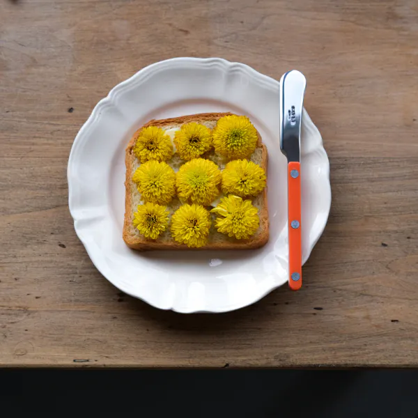 Sm&oslash;rekniv Bistrot Solid Orange