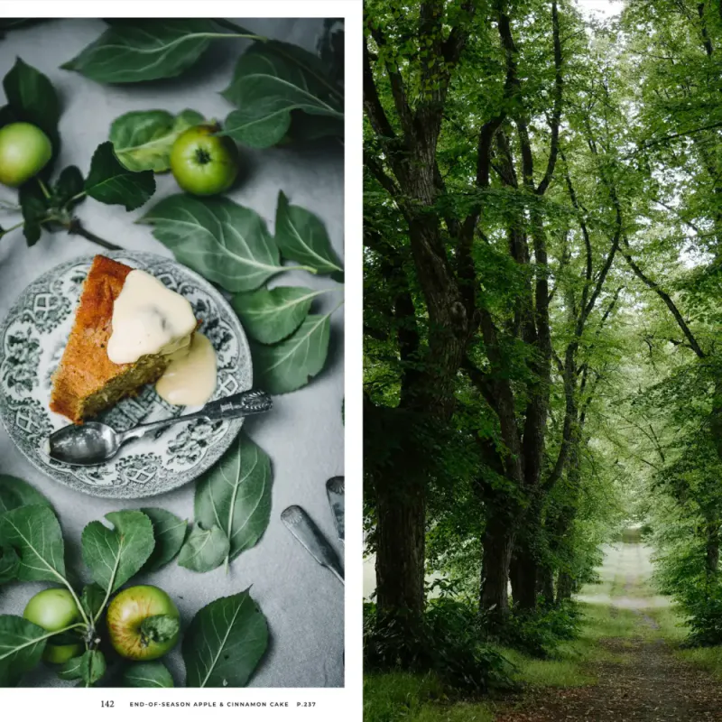 Nordic Summer Cookbook, Viola Minerva Virtamo