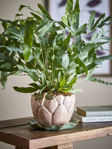 Hovedbilde Jaylee Potteskjuler rosa