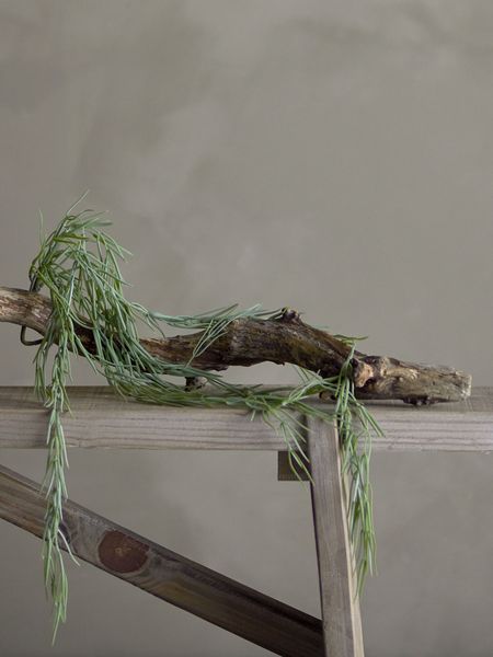 Tilandsia Kunstig plante
