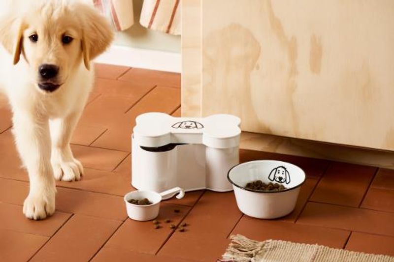 Ib Laursen Hundebeinboks 