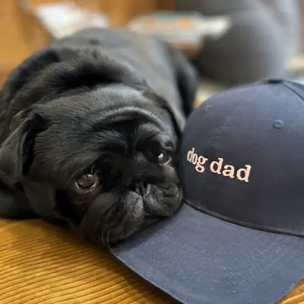 merci murphy dog dad cap