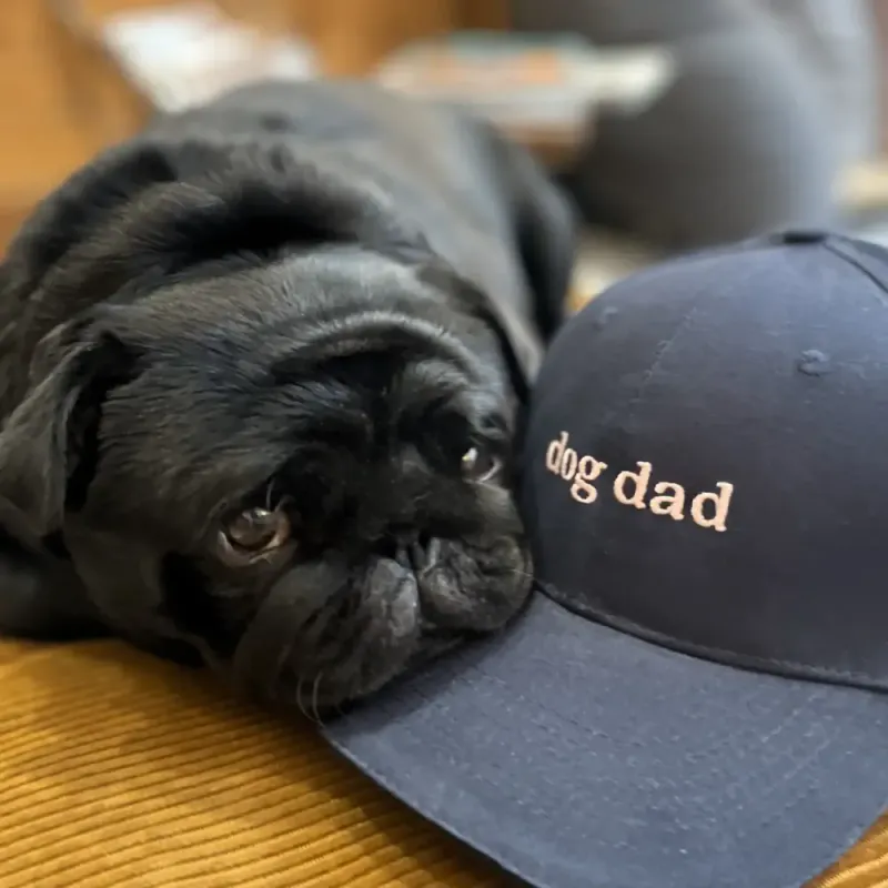 merci murphy dog dad cap