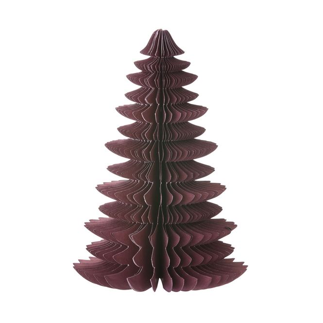 Hovedbilde Papirtre Wispwood Aubergine 18cm 
