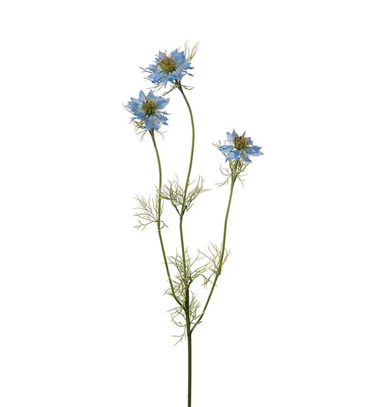Mr Plant Nigella blå