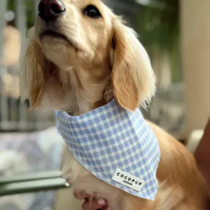 Hovedbilde English Blue Bandana