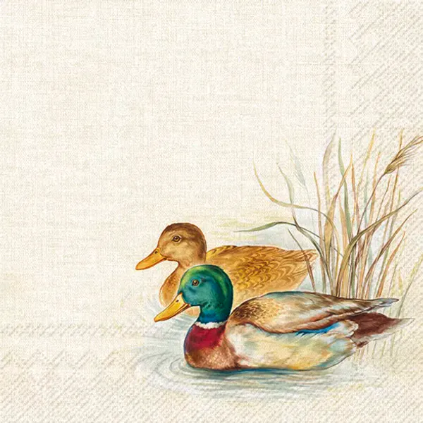 Ihr Home Hunted Ducks kaffeservietter