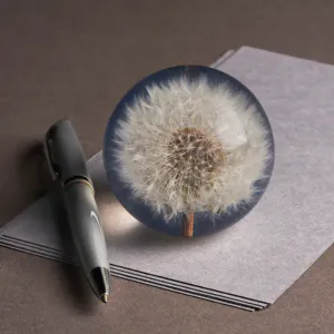 Hovedbilde Hafod Grange Dandelion paperweight S